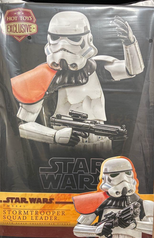 TMS041 Stormtrooper Commander